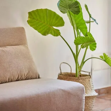 La Limonaia Apartment *