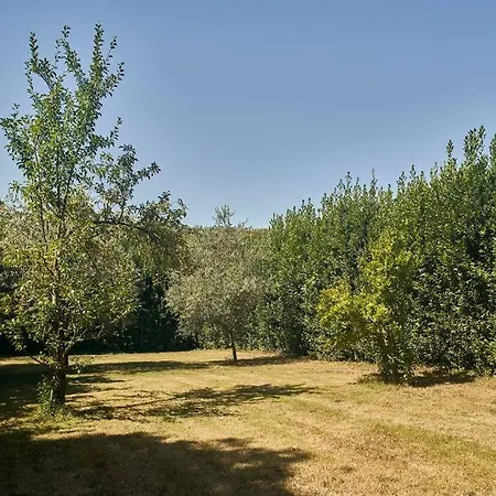 La Limonaia *