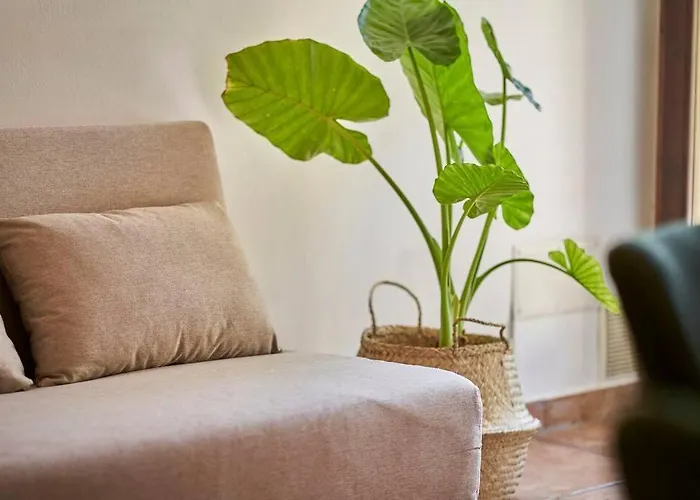 La Limonaia Apartment *