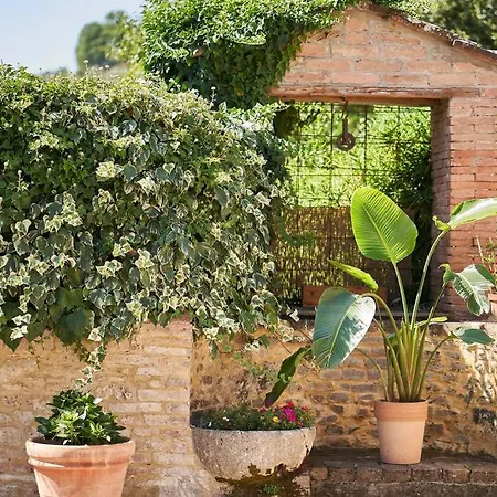 La Limonaia شقة سيينا